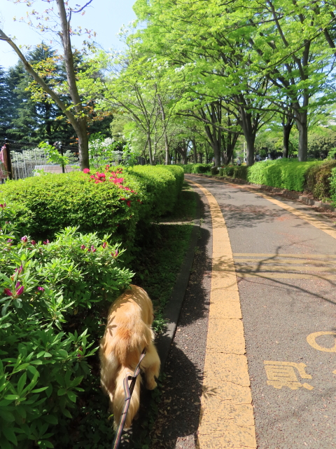 ファイル 8316-3.jpg