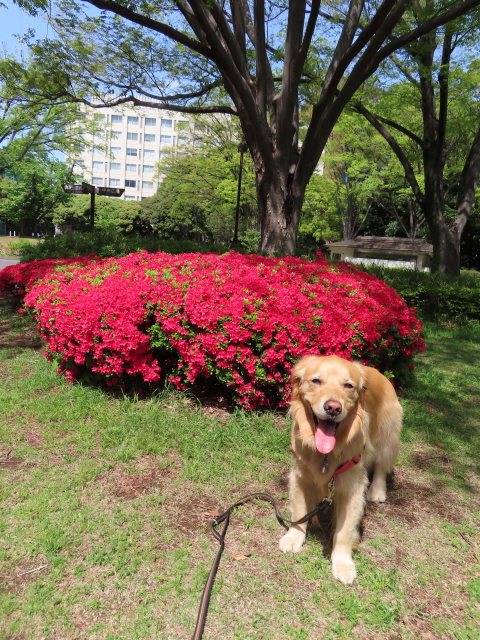 ファイル 8316-4.jpg