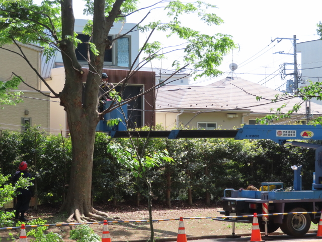 ファイル 8317-5.jpg