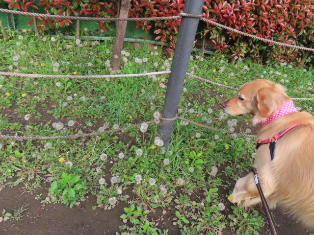 ファイル 8318-3.jpg