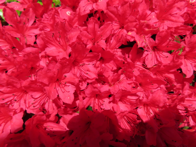 ファイル 8319-2.jpg