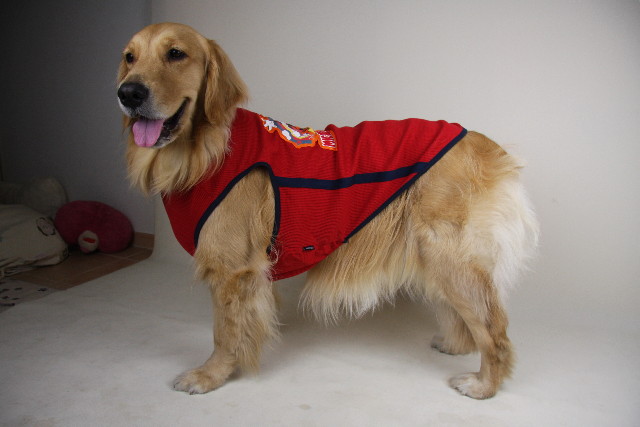 ファイル 832-2.jpg