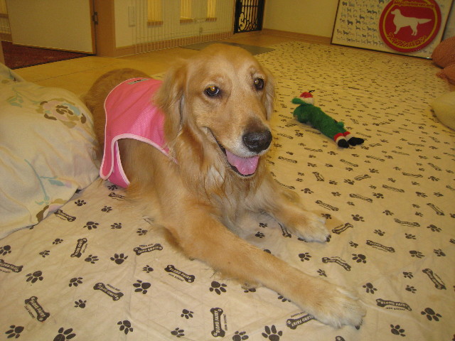 ファイル 832-3.jpg