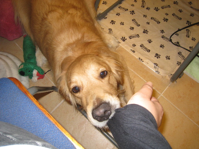 ファイル 832-4.jpg