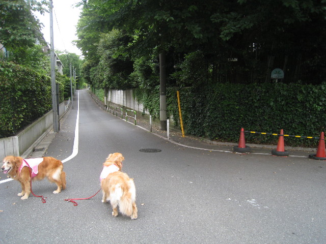 ファイル 832-5.jpg