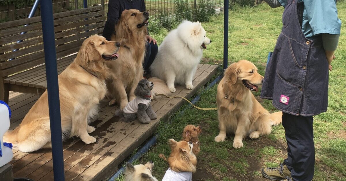 ファイル 8322-1.jpeg