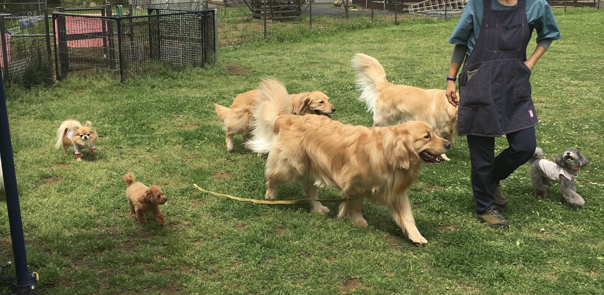 ファイル 8322-2.jpeg