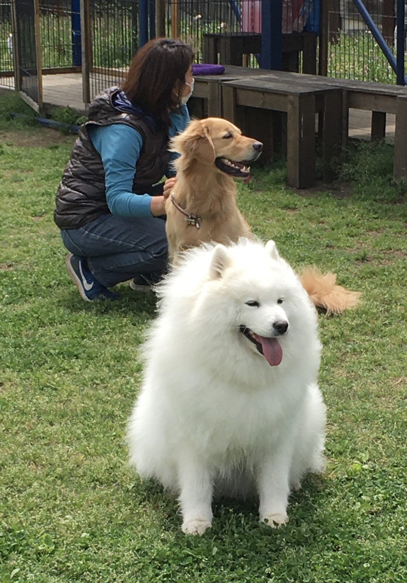 ファイル 8322-4.jpeg