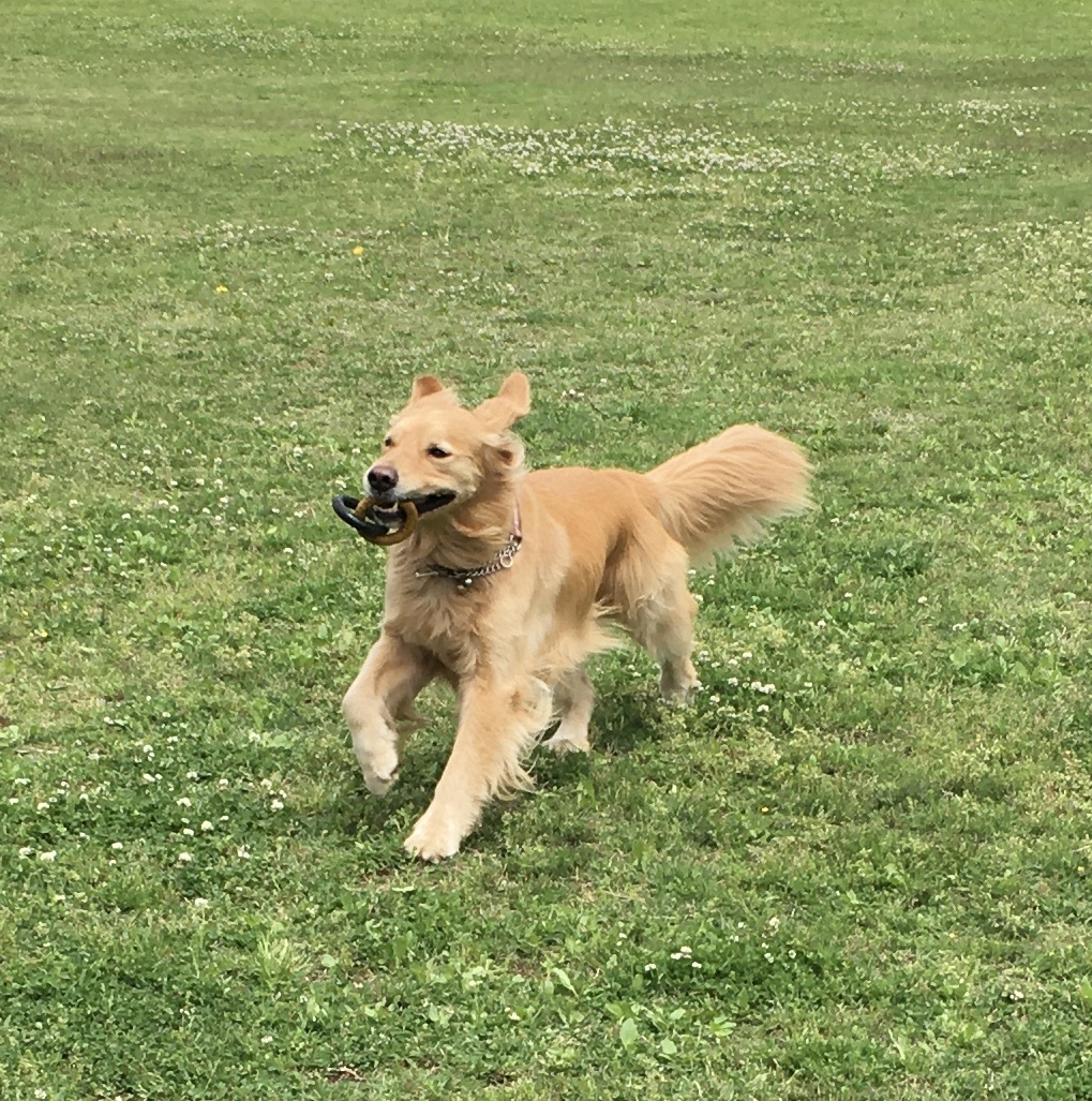 ファイル 8322-5.jpeg