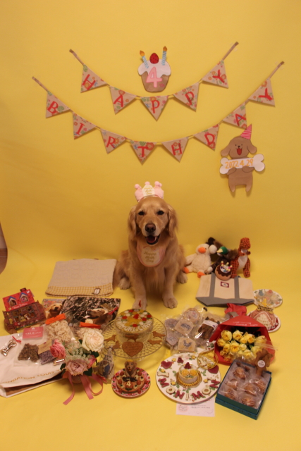 ファイル 8323-1.jpg