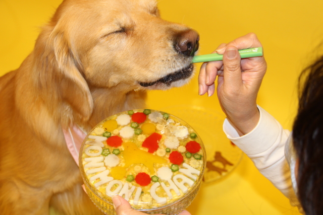 ファイル 8323-4.jpg