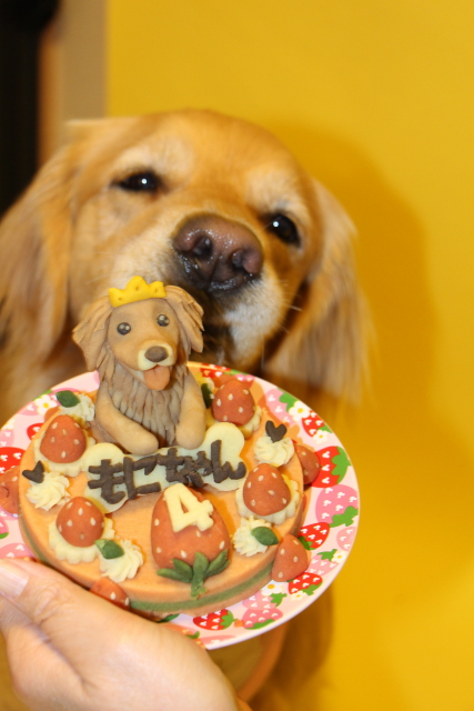 ファイル 8323-5.jpg