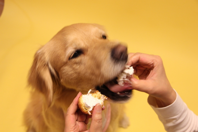 ファイル 8324-1.jpg