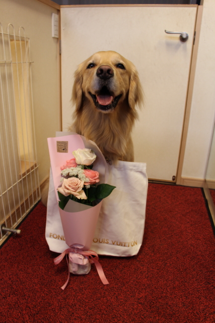 ファイル 8324-2.jpg