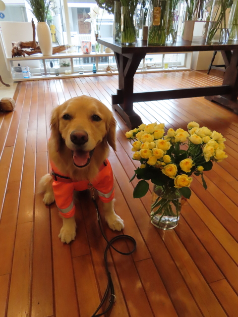 ファイル 8324-3.jpg