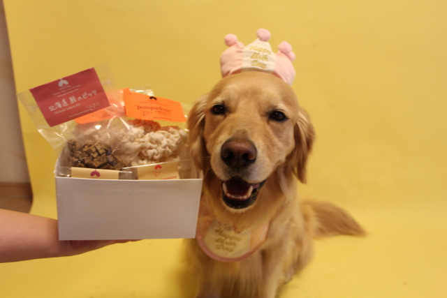 ファイル 8324-4.jpg