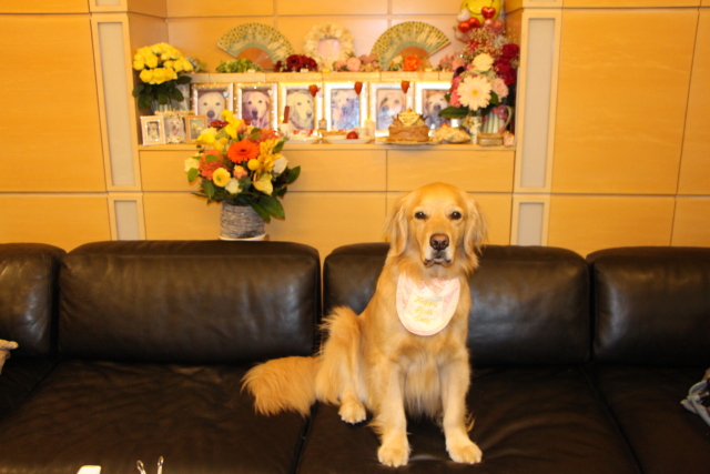 ファイル 8324-5.jpg