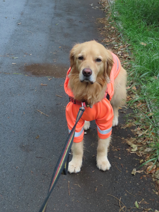 ファイル 8326-2.jpg