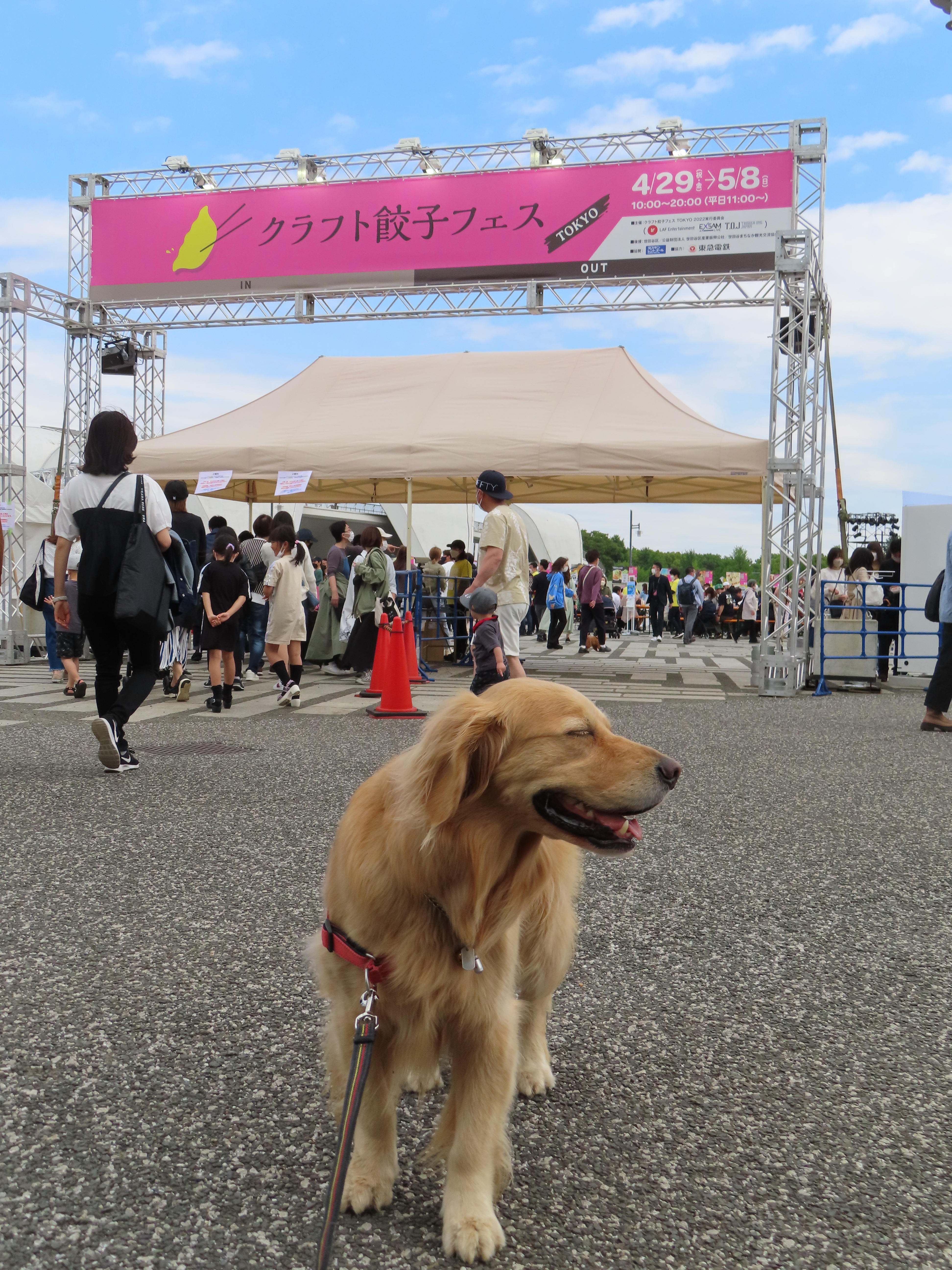 ファイル 8327-1.jpg