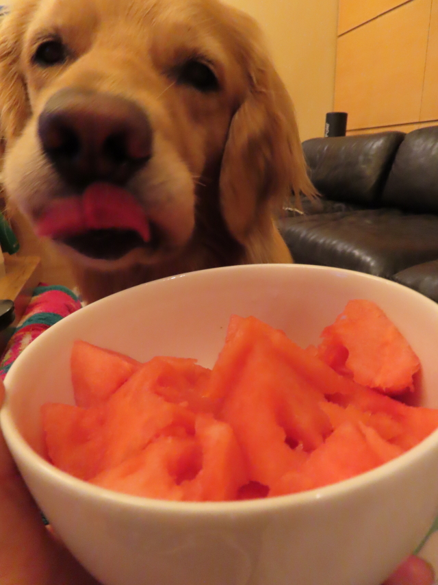 ファイル 8327-5.jpg