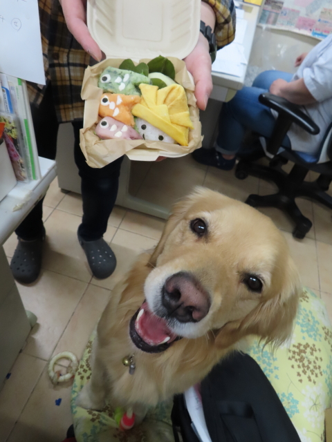 ファイル 8328-1.jpg