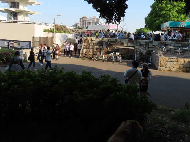 ファイル 8329-3.jpg