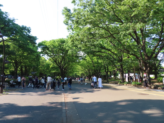 ファイル 8329-5.jpg