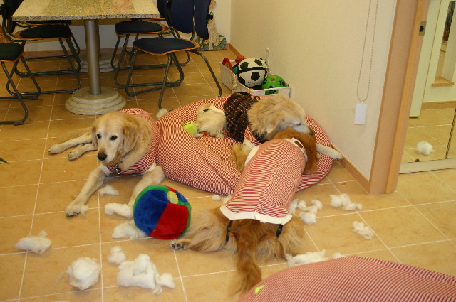 ファイル 833-2.jpg