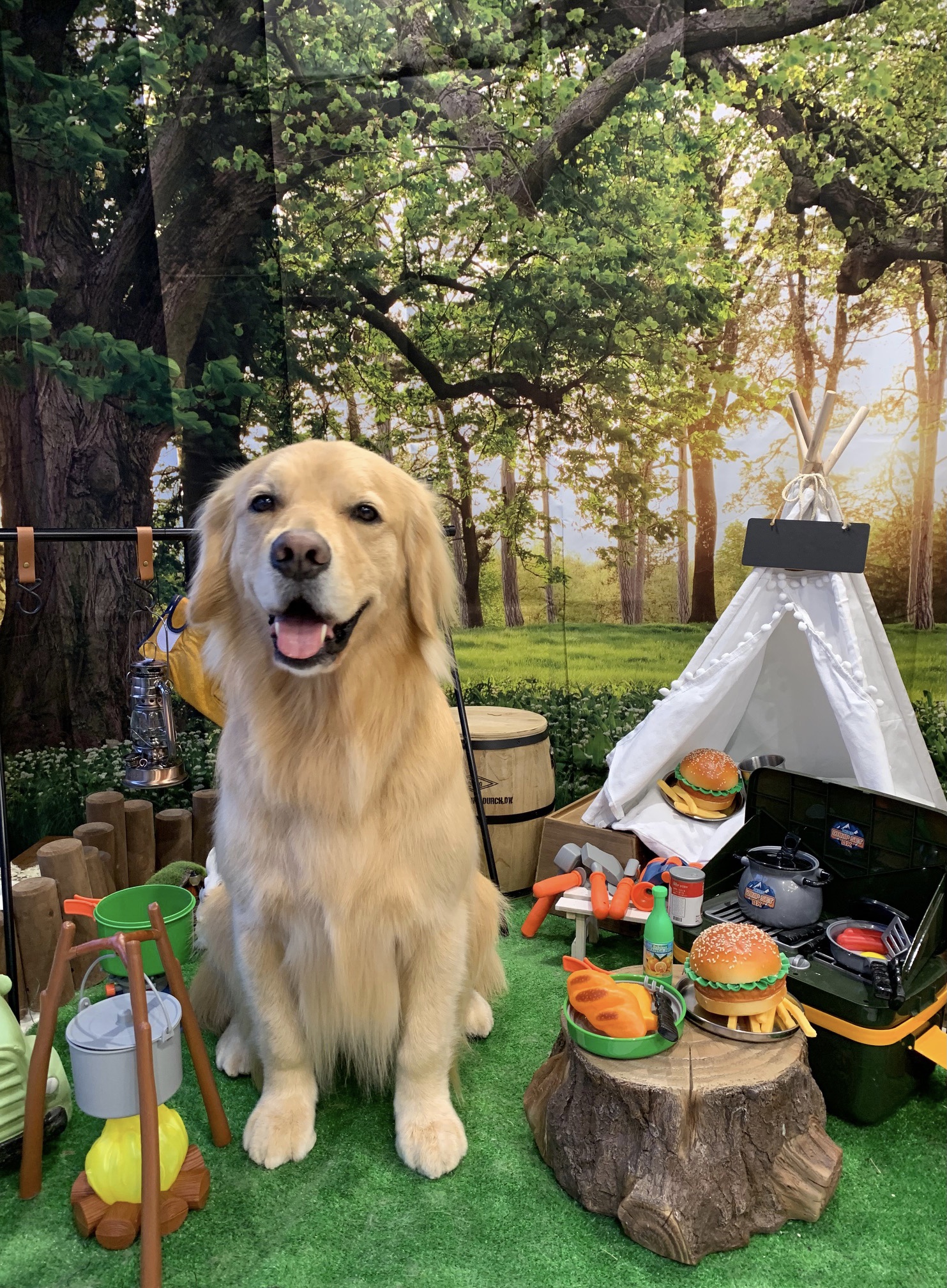 ファイル 8330-3.jpeg