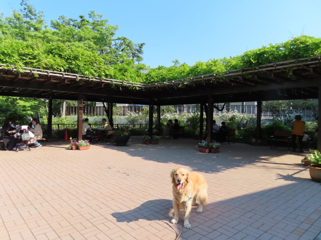 ファイル 8332-3.jpg