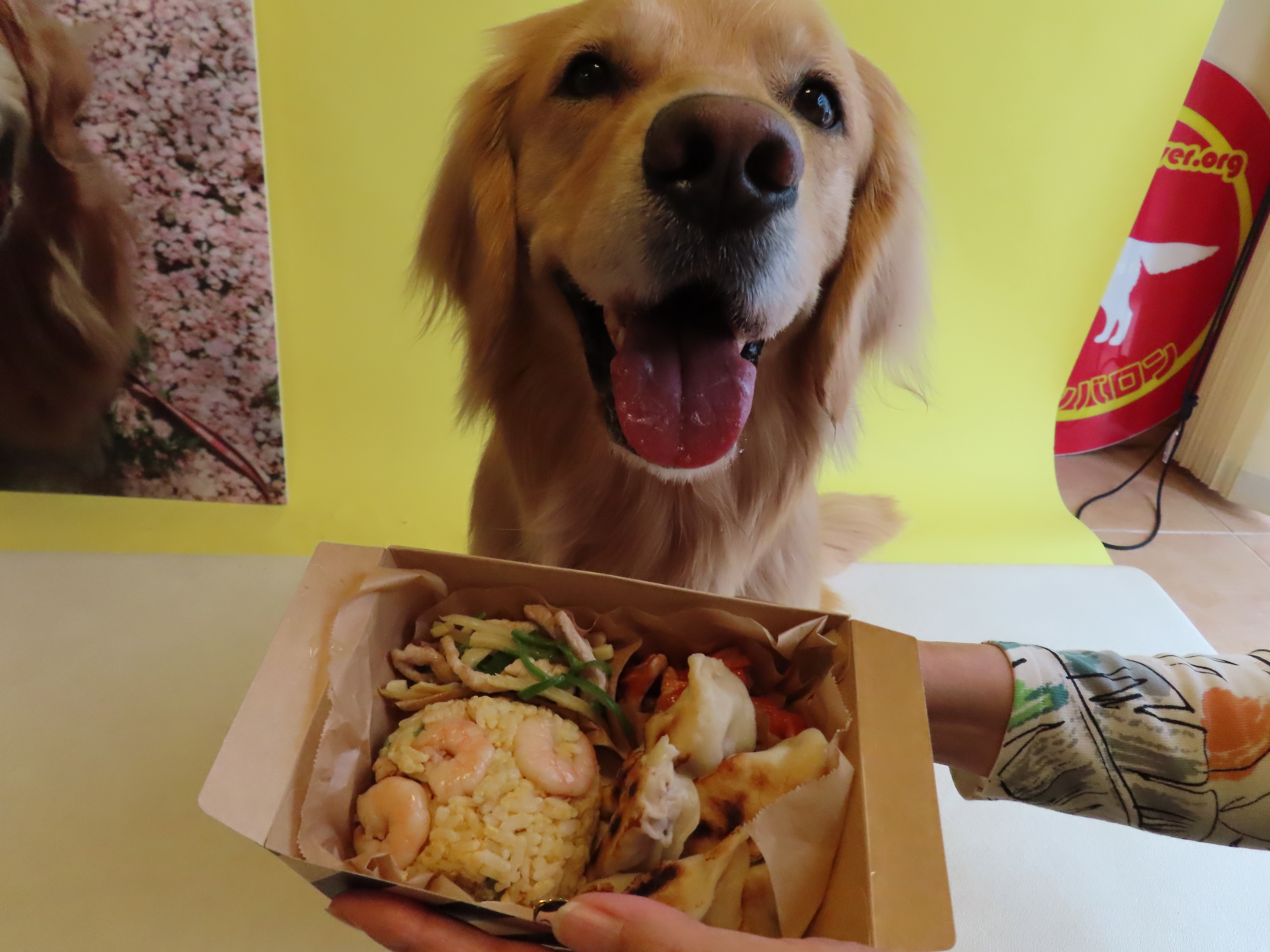 ファイル 8332-4.jpg