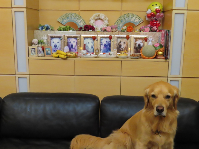 ファイル 8334-1.jpg