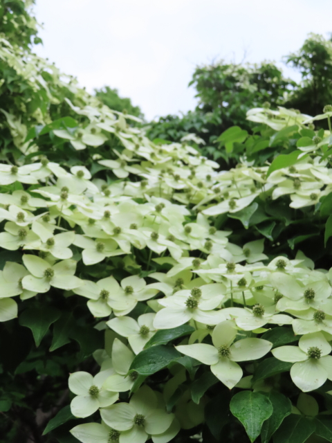 ファイル 8334-4.jpg