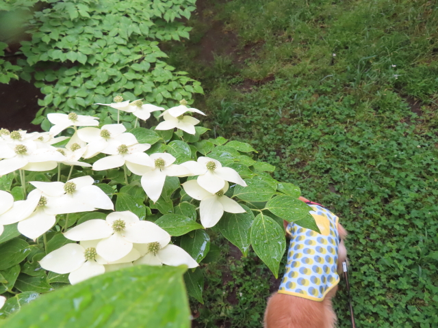 ファイル 8334-5.jpg