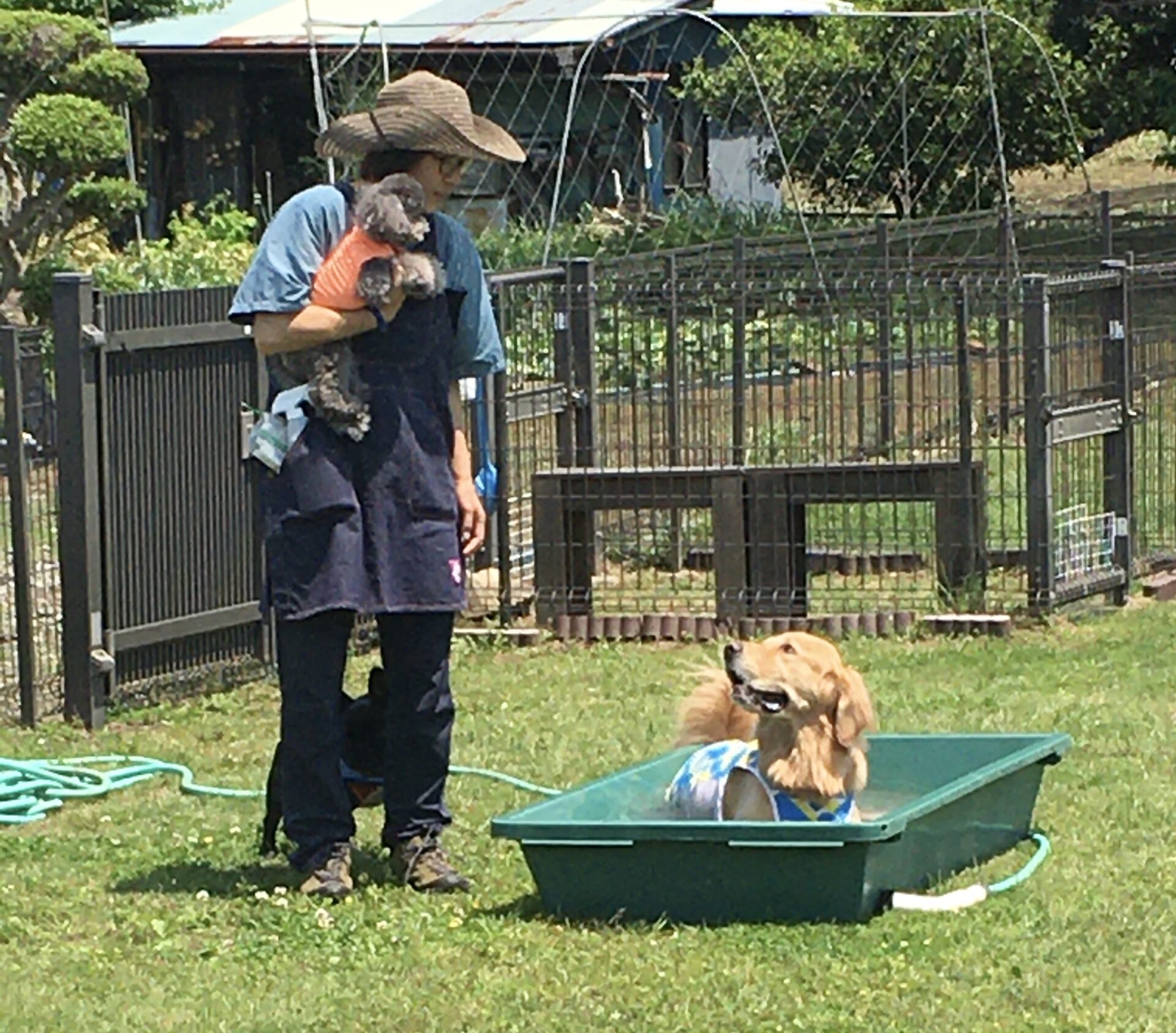 ファイル 8337-3.jpeg