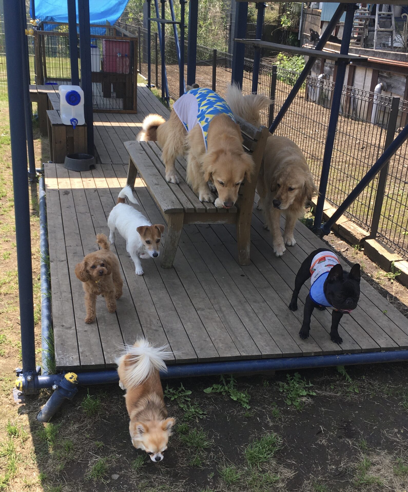 ファイル 8337-5.jpeg