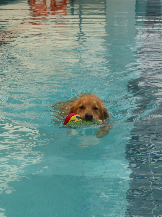 ファイル 8339-4.jpg