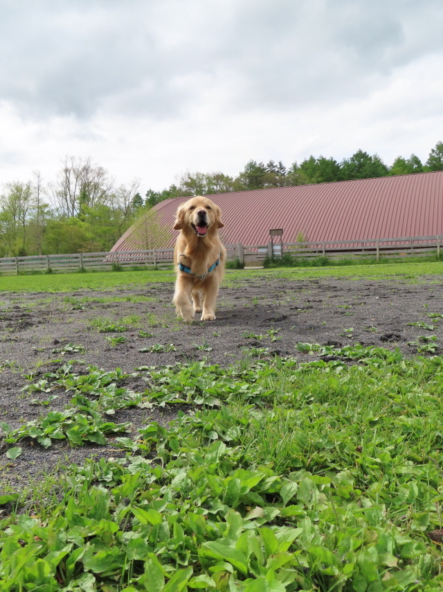 ファイル 8339-5.jpg