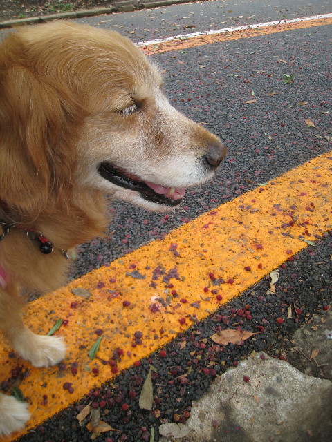 ファイル 834-3.jpg