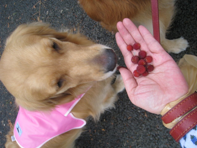 ファイル 834-4.jpg