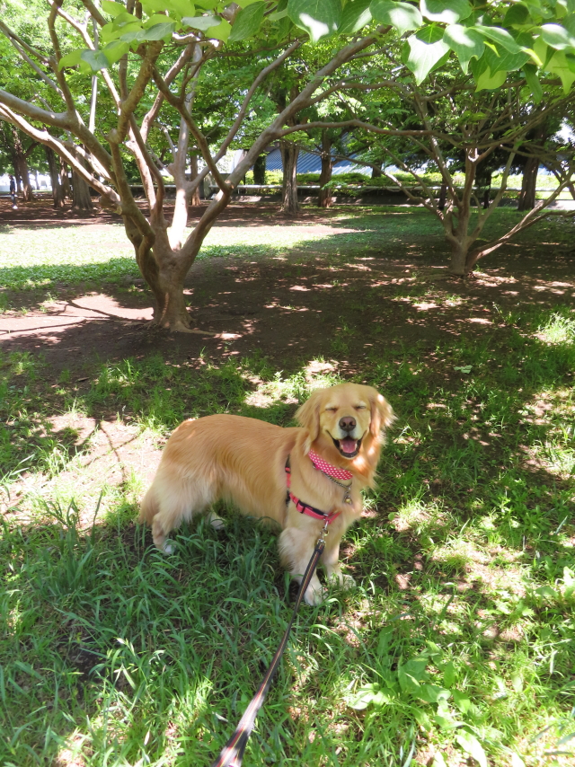 ファイル 8340-2.jpg