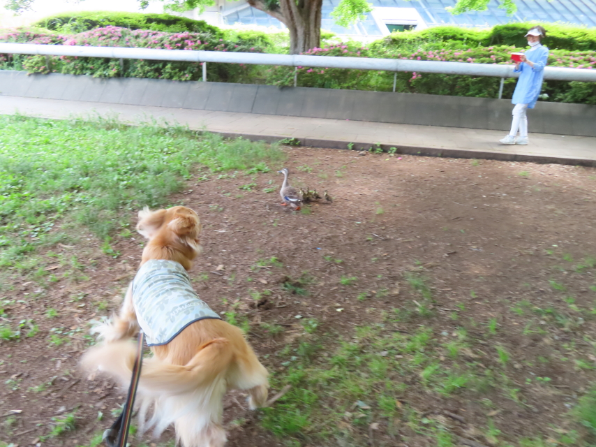 ファイル 8341-2.jpg