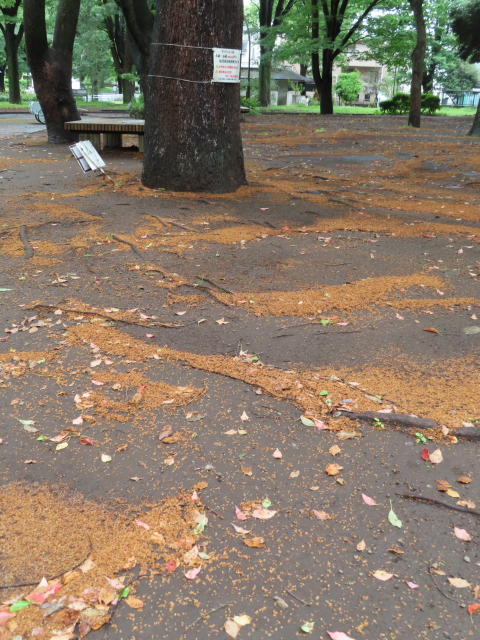 ファイル 8344-3.jpg