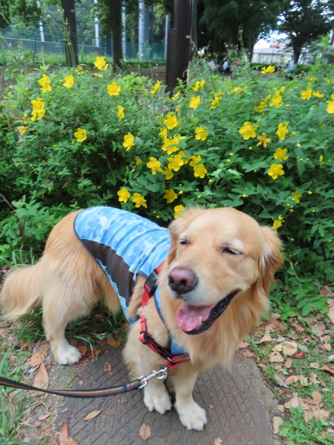 ファイル 8344-5.jpg