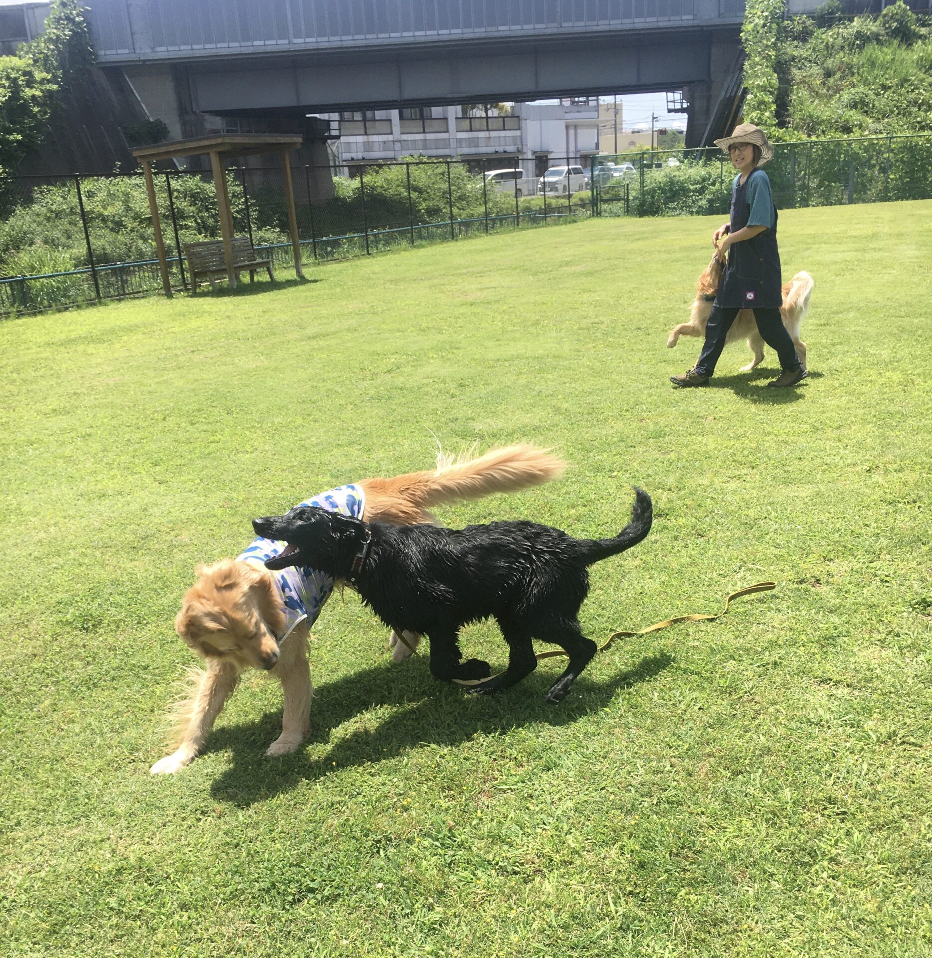 ファイル 8348-4.jpeg