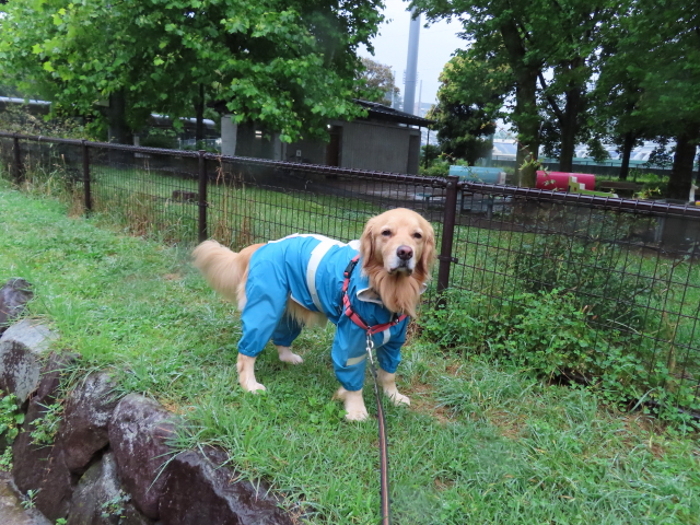 ファイル 8349-3.jpg