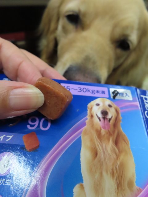 ファイル 8349-5.jpg