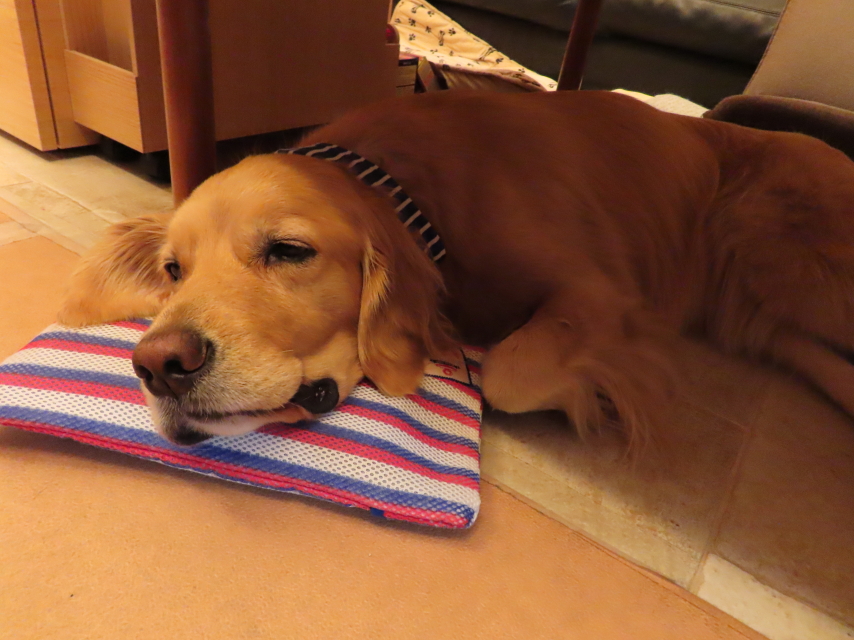 ファイル 8351-1.jpg