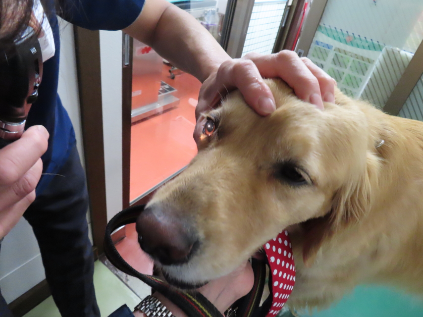 ファイル 8351-4.jpg