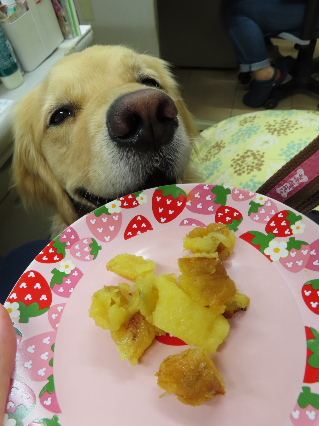 ファイル 8351-5.jpg